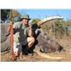 Image 3 : Zimbabwe Non-Trophy Elephant Bull Cull Safari - $15,000 / Exhibitor