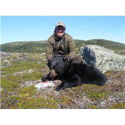 Newfoundland Moose & Black Bear - $8,500