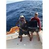 Image 5 : Panama Deep Sea Fishing for 4 - $10,600