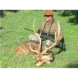 Axis Buck and Wild Hogs - $4,850