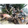 Image 1 : Montana Elk Archery Hunt for 1 Hunter - $4,000