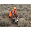 Image 1 : Montana Mule Deer for 2 Hunters - $6,000