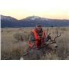 Image 2 : Montana Mule Deer for 2 Hunters - $6,000
