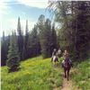 Image 2 : Montana Wilderness Photography Pack Trip for 2 - $2,000
