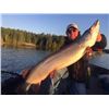 Image 1 : World Class Ontario Muskie Fishing Trip for 2 - $2,500 / Exhibitor