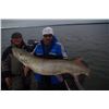 Image 4 : World Class Ontario Muskie Fishing Trip for 2 - $2,500 / Exhibitor
