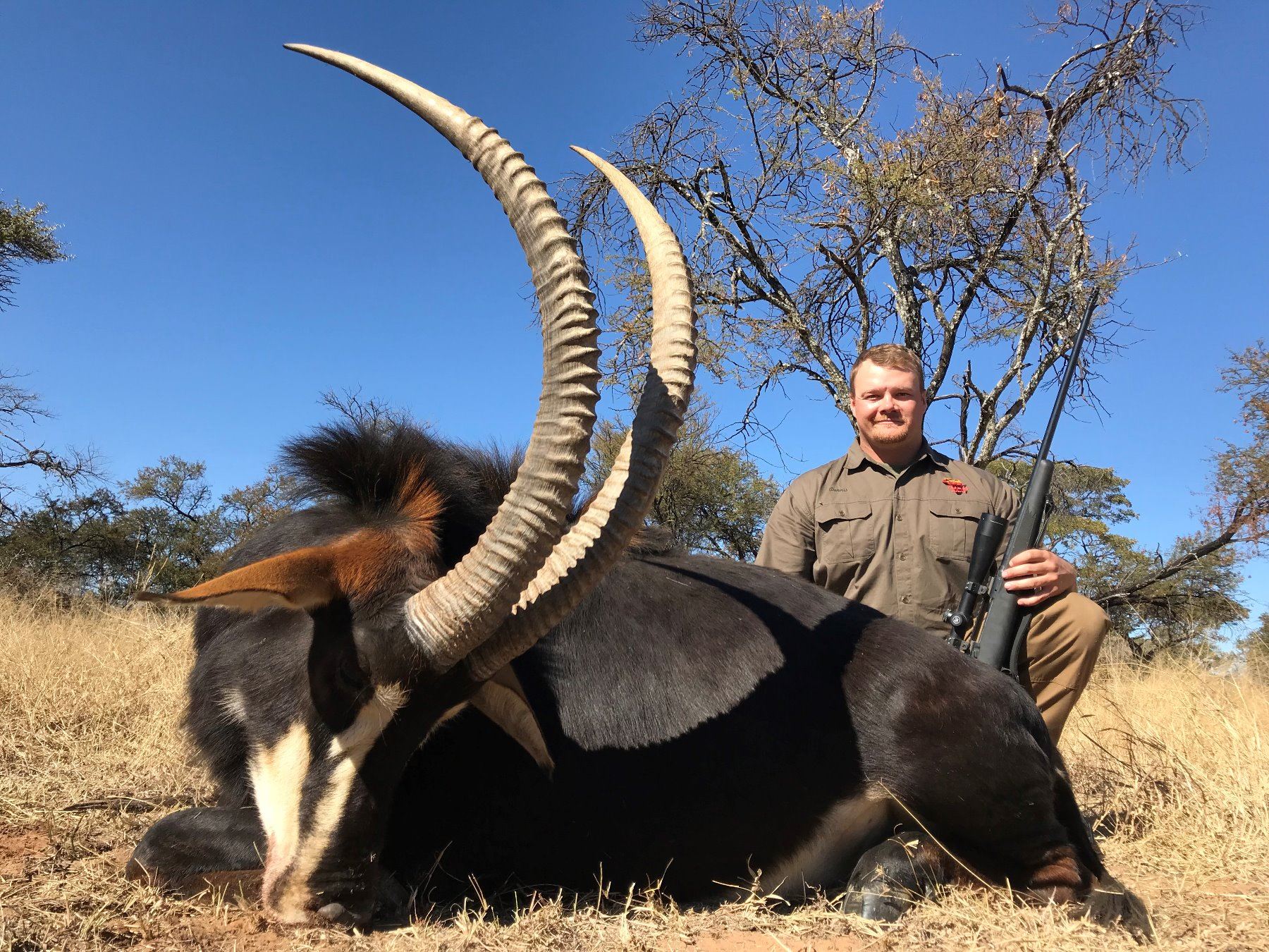 Sable Hunter South Africa: 7 Day Sable bull Hunt for One Hunter / Includes $3,000 ...