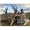 Image 2 : New Zealand:10 Day 3 Hunters (1x1) Guided Hunt for Red Stag, Tahr & Chamois for Each Hunter