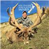Image 3 : New Zealand:10 Day 3 Hunters (1x1) Guided Hunt for Red Stag, Tahr & Chamois for Each Hunter