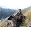 Image 5 : New Zealand:10 Day 3 Hunters (1x1) Guided Hunt for Red Stag, Tahr & Chamois for Each Hunter