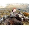 Image 8 : New Zealand:10 Day 3 Hunters (1x1) Guided Hunt for Red Stag, Tahr & Chamois for Each Hunter