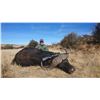 Image 3 : South Africa:7 Day Cape Buffalo Hunt for 1 Hunter & 1 Observer / Includes a $5,000 Trophy Fee Credit