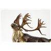 Image 2 : World Renowned Wildlife Sculptor Frank Entsminger’s Full Tilt Limited Edition Set