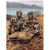 Image 1 : Alaska:5 Day 5 Night Sitka Blacktail Deer & Mountain Goat Hunt for 2 Hunters / Oct. 21st thru 26th