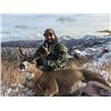 Image 3 : Alaska:5 Day 5 Night Sitka Blacktail Deer & Mountain Goat Hunt for 2 Hunters / Oct. 21st thru 26th