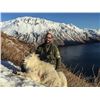 Image 4 : Alaska:5 Day 5 Night Sitka Blacktail Deer & Mountain Goat Hunt for 2 Hunters / Oct. 21st thru 26th