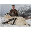 Image 6 : Alaska:5 Day 5 Night Sitka Blacktail Deer & Mountain Goat Hunt for 2 Hunters / Oct. 21st thru 26th