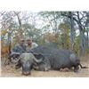 Image 5 : Mozambique:10 Day Cape Buffalo Hunt for One /  Includes Trophy Fee for One Cape Buffalo Plus Extras