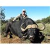 Image 13 : South Africa: 7 Day All Inclusive Rhino Vita Dart Hunt for One Hunter & 1 One Observer