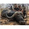 Image 17 : South Africa: 7 Day All Inclusive Rhino Vita Dart Hunt for One Hunter & 1 One Observer