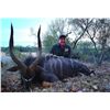 Image 15 : South Africa: 7 Day 7 Night Roan Antelope Hunt for 1 Hunter and 1 Observer / Includes the Trophy Fee
