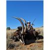 Image 16 : South Africa: 7 Day 7 Night Roan Antelope Hunt for 1 Hunter and 1 Observer / Includes the Trophy Fee