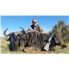 Image 17 : South Africa: 7 Day 7 Night Roan Antelope Hunt for 1 Hunter and 1 Observer / Includes the Trophy Fee
