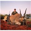 Image 18 : South Africa: 7 Day 7 Night Roan Antelope Hunt for 1 Hunter and 1 Observer / Includes the Trophy Fee