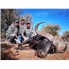 Image 23 : South Africa: 7 Day 7 Night Roan Antelope Hunt for 1 Hunter and 1 Observer / Includes the Trophy Fee