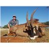 Image 2 : South Africa: 7 Day 7 Night Roan Antelope Hunt for 1 Hunter and 1 Observer / Includes the Trophy Fee