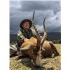 Image 12 : South Africa:8 Day Cape Buffalo Hippo Hunt for 1 Hunter 1 Observer/Includes Trophy Fees plus Extras
