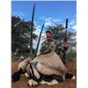 Image 4 : South Africa:8 Day Cape Buffalo Hippo Hunt for 1 Hunter 1 Observer/Includes Trophy Fees plus Extras