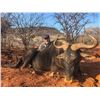 Image 6 : South Africa:8 Day Cape Buffalo Hippo Hunt for 1 Hunter 1 Observer/Includes Trophy Fees plus Extras