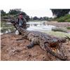 Image 2 : South Africa: 5 Day Limpopo Province Crocodile Safari for 2 / Includes 1 Crocodile