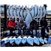 Image 5 : Alaska: 1 Day Saltwater Fishing Charter for 12 Anglers out of Seward, Alaska