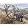 Image 1 : New Zealand: 3 Day Red Stag Hunt for 3 Hunters / Includes 3 Red Stags