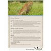Image 27 : South Africa:10 Day Plains Game 1 Hunter & 1 Observer/Includes 3 Trophies or $3500 Trophy Fee Credit