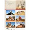 Image 30 : South Africa:10 Day Plains Game 1 Hunter & 1 Observer/Includes 3 Trophies or $3500 Trophy Fee Credit