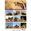 Image 31 : South Africa:10 Day Plains Game 1 Hunter & 1 Observer/Includes 3 Trophies or $3500 Trophy Fee Credit