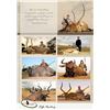 Image 32 : South Africa:10 Day Plains Game 1 Hunter & 1 Observer/Includes 3 Trophies or $3500 Trophy Fee Credit