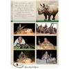 Image 36 : South Africa:10 Day Plains Game 1 Hunter & 1 Observer/Includes 3 Trophies or $3500 Trophy Fee Credit