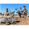 Image 5 : Mexico: 6 Day 7 Night Trophy Coues Deer Hunt for 1 Hunter with Safari Unlimited