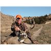 Image 2 : Nebraska: 4 Day 4 Night Deer Hunt (Mule Deer or Whitetail Deer) for One Hunter