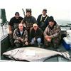 Image 7 : Alaska: 5 Day Fishing Trip for One Angler at Glacier Bay Eagle Nest Lodge