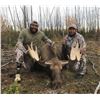 Image 1 : Alaska: DM 795 Qualified Veteran's/Active Duty Military Unit 20D Moose Permit, Includes travel, meat