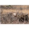Image 2 : Alaska: DM 795 Qualified Veteran's/Active Duty Military Unit 20D Moose Permit, Includes travel, meat