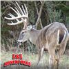 Image 2 : Texas:3 Day 2 Night Whitetail & Exotic Combo Hunt for 2 Hunters / Includes $6,000 Trophy Fee