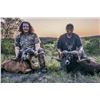 Image 4 : Texas:3 Day 2 Night Whitetail & Exotic Combo Hunt for 2 Hunters / Includes $6,000 Trophy Fee