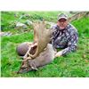 Image 10 : New Zealand: 5 Day 4 Night Red Stag Hunt for 2 Hunters / Includes 2 Red Stags up to 350 Points