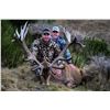 Image 2 : New Zealand: 5 Day 4 Night Red Stag Hunt for 2 Hunters / Includes 2 Red Stags up to 350 Points